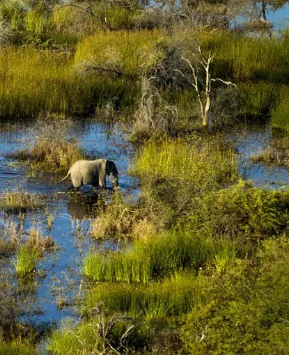 wetlands